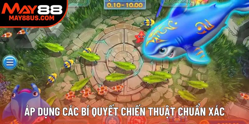 Áp dụng các bí quyết chiến thuật chuẩn xác