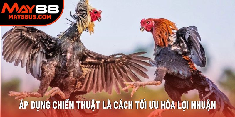 Áp dụng chiến thuật là cách tối ưu hóa lợi nhuận