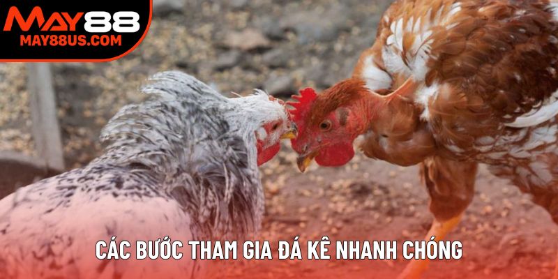 Các bước tham gia đá gà Campuchia online nhanh chóng
