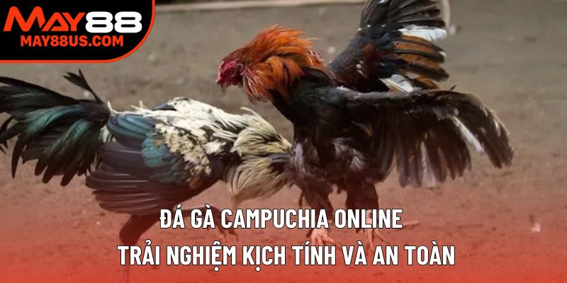Đá Gà Campuchia Online – Trải Nghiệm Kịch Tính Nhất