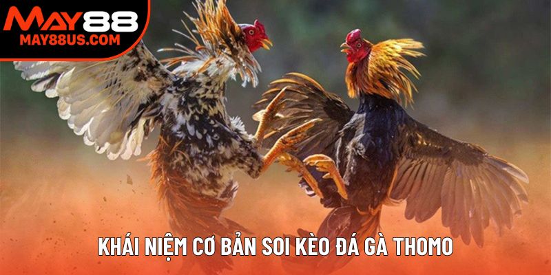 Khái niệm cơ bản soi kèo đá gà Thomo