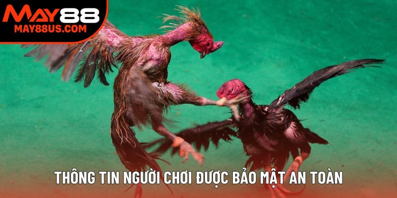 Thông tin người chơi được bảo mật an toàn